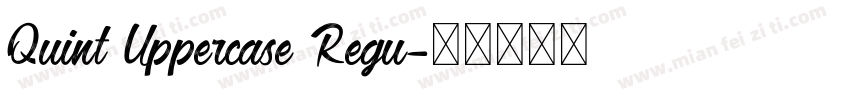 Quint Uppercase Regu字体转换